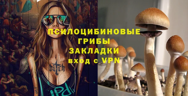 PSILOCYBIN Белоозёрский