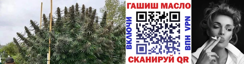 Купить закладки  Миньяр  ТГК жижа 
